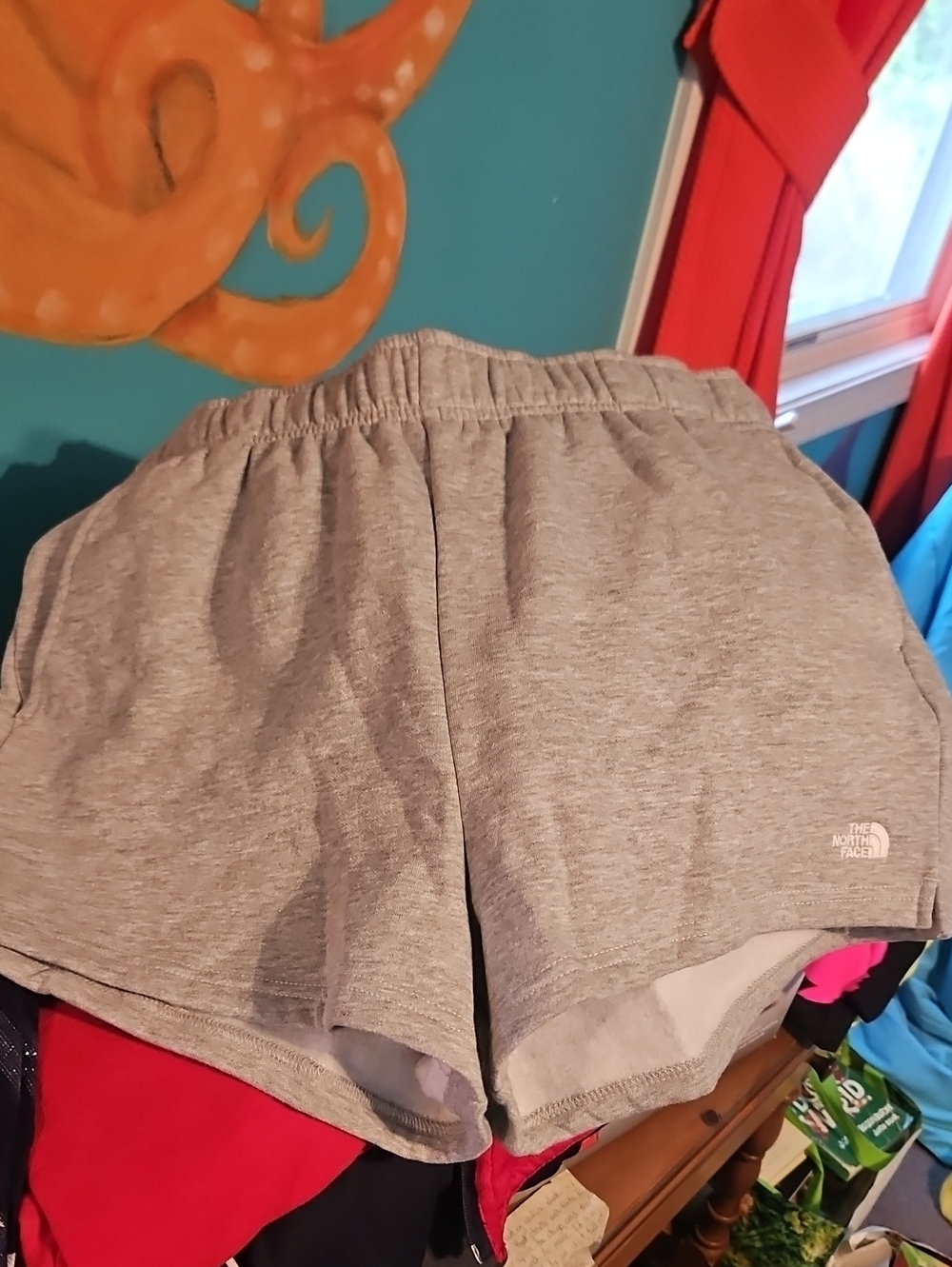 The North Face Shorts